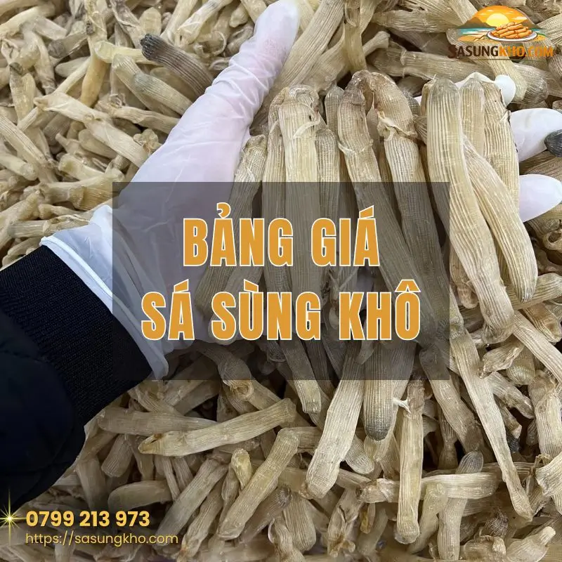 Bảng giá sá sùng khô bao tiền 1kg? Mua ở đâu uy tín?