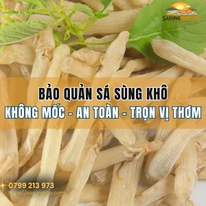 Hướng dẫn cách bảo quản sá sùng khô chuẩn không mốc giữ trọn hương vị