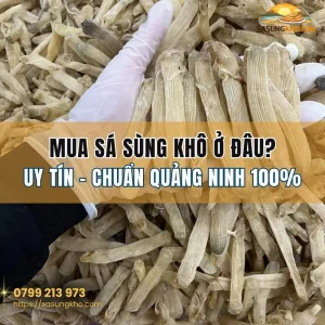 Địa chỉ mua sá sùng khô tại Hà Nội, TP HCM uy tín