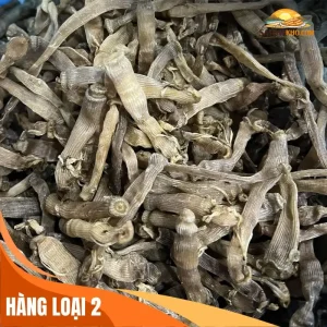 Sá sùng khô loại 2 Quảng Ninh – Giá rẻ, hợp túi tiền