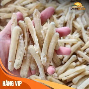 Sá sùng khô Vân Đồn loại VIP - Đặc sản đảo Quan Lạn Quảng Ninh