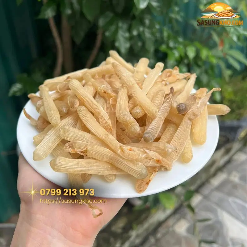 Sá sùng khô Quan Lạn Vân Đồn Quảng Ninh
