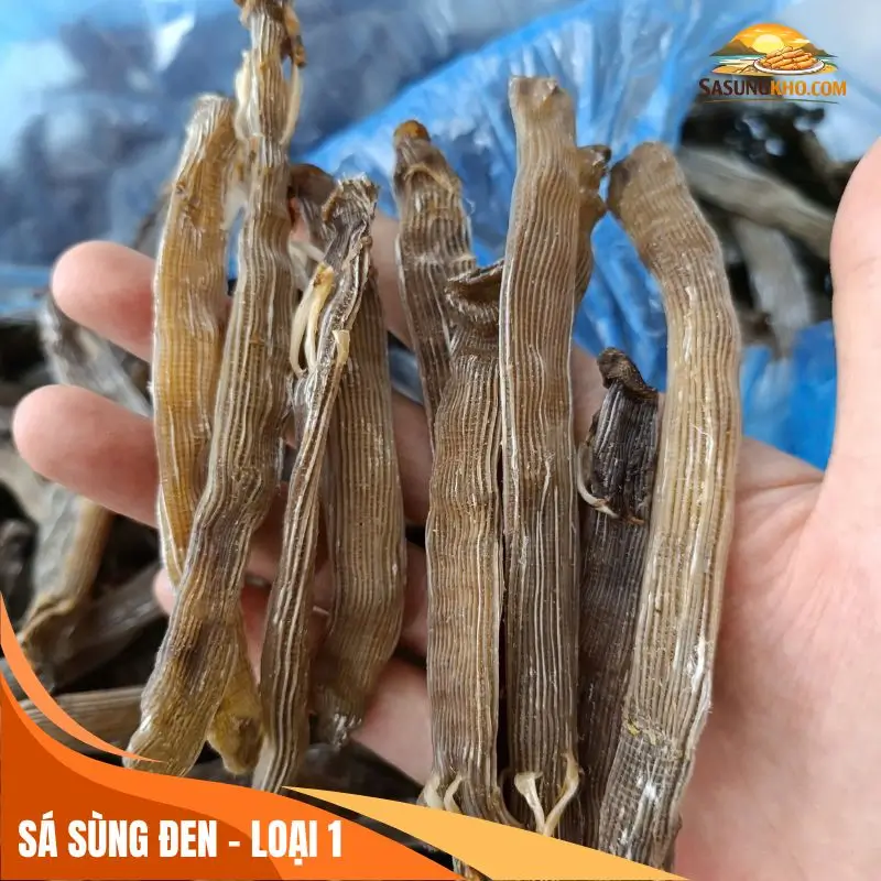 Sá sùng đen loại 1 Quảng Ninh