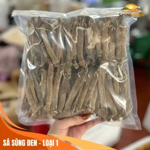 Sá sùng đen loại 1 Quảng Ninh